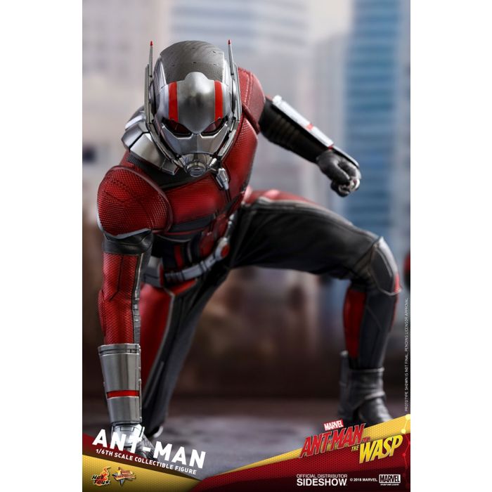 Hot Toys: Ant-Man and The Wasp - Ant-Man 1:6 scale Figure 