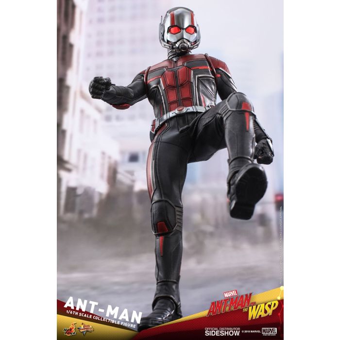 Hot Toys: Ant-Man and The Wasp - Ant-Man 1:6 scale Figure 