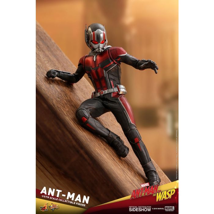 Hot Toys: Ant-Man and The Wasp - Ant-Man 1:6 scale Figure 