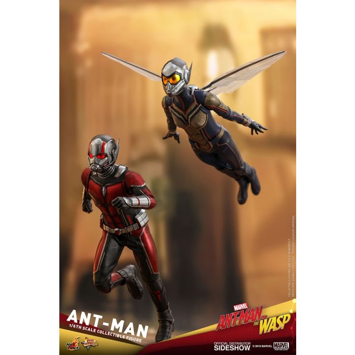 Hot Toys: Ant-Man and The Wasp - Ant-Man 1:6 scale Figure 