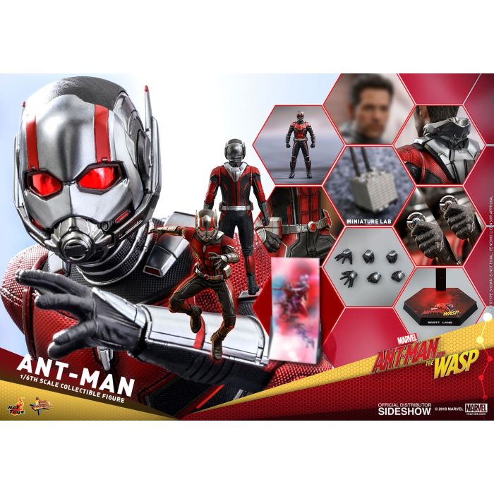 Hot Toys: Ant-Man and The Wasp - Ant-Man 1:6 scale Figure 