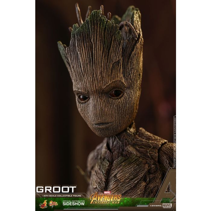 Hot Toys: Avengers Infinity War - Groot 1:6 scale Figure 