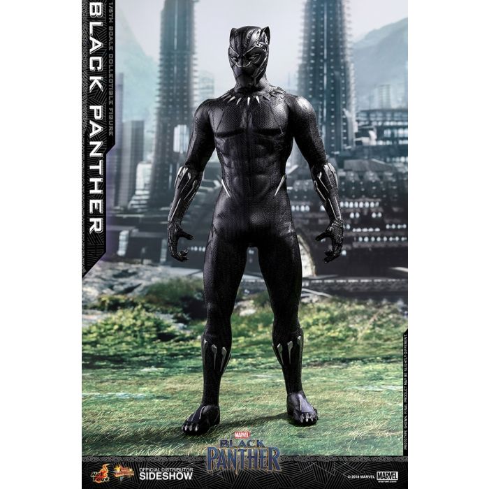 Hot Toys: Black Panther Movie - Black Panther 1:6 Scale Figure